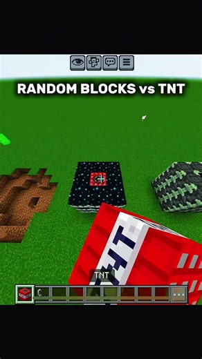 Random Blocks vs TNT 💥 Who Survives?!