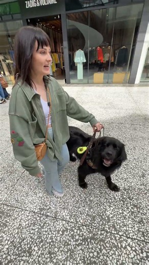 How My Guide Dog Finds Me a Chair