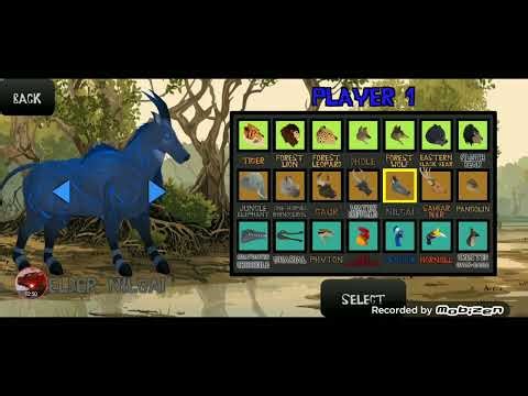 Tiger vs Lion: Forest War: All Animals and Evolutions