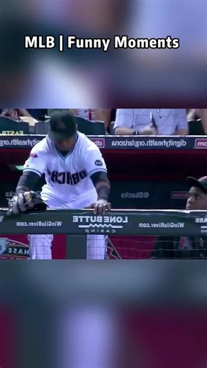 Hilarious MLB Funny Moments Compilation