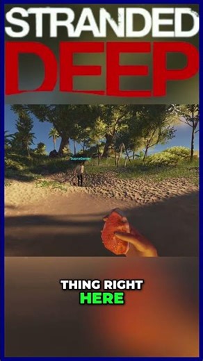 just another day in stranded deep