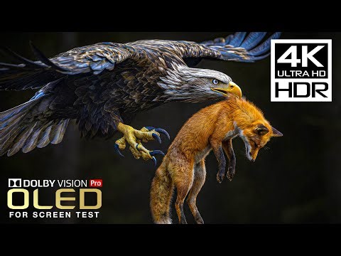 Most Powerful OLED TEST 4K Video | 4K HDR 120FPS | Dolby Vision