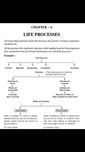 Cbse class 10th science chapter 6 #study #biology #cbseboard