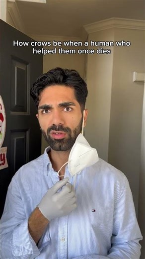 How crows be when a human who helped them once dies. #shorts #skit #funny