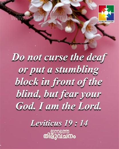 Today's Bible Verse || 08/03/2026 || POWERVISION TV