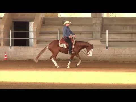 2 show ACRP 2026 - BISCAGLIA ANTONELLO & AB SNOW FLIPINGUN score 69,5