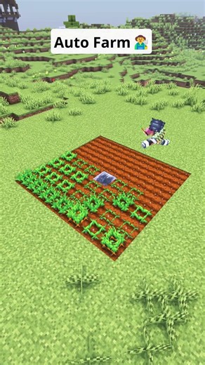 Minecraft Auto Farm🧑‍🌾 #shorts