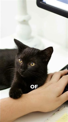 The Secret History of the Computer Mouse #Shorts