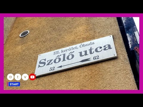 ÚJABB fordulat a Szőlő utcában: más javítóintézetekbe szállíthatják át a fogvatartott fiatalokat