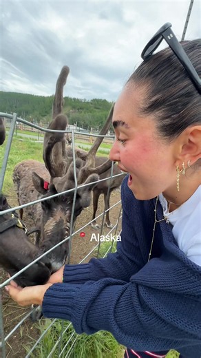 WHAT A TRIPPPP 🏔️🌞🫶🏽 my heart is sooo full @VicBlends #travelwithme #traveltok #alaska