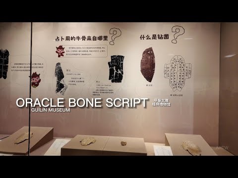 Oracle Bone Script Walk | Guilin Museum | Real China | 4K