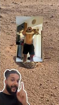 Have you ever heard of this WILD kitty?