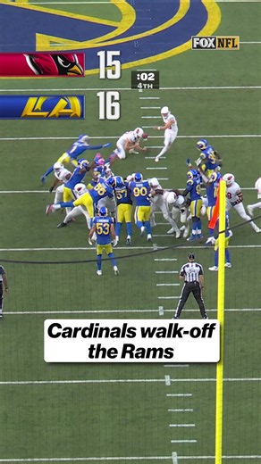 The Cardinals walk off the Rams as the clock expires! #cardinals #win #losangeles