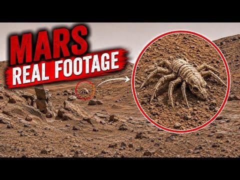 NASA's Perseverance Rover Captured Most Stunning 360° Mars Footage | Real Mars Video