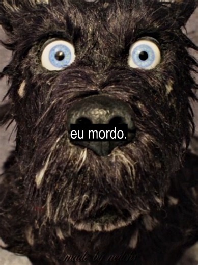 🎞️ ilha dos cachorros, 2018 ㅤ #earrings #isleofdogs #reflexoes #stopmotion #animation ㅤ [tipografia/me core/typography/lyrics/letras/viral/fyp/foryou/shipp/mulherdepreso/novelas/series/tvshow/teen/romance/drama/Netflix/hbomax/prime video/novidade/lançamento]