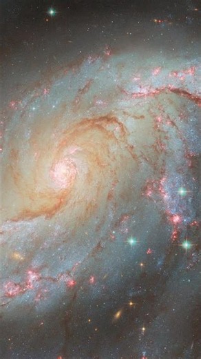 What Happens When Two Black Holes Collide? (GW150914) #Shorts