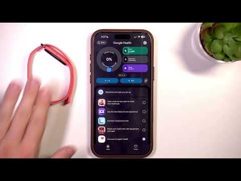 Google Fitbit Air vs WHOOP — Is Fitbit Air Better?