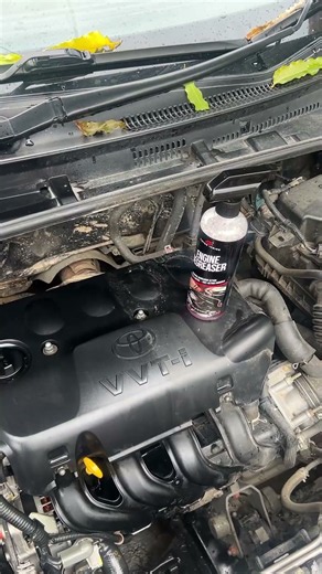 How to Clean Your Car Engine Bay Like a Pro (Easy DIY Engine Degreasing)