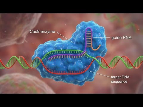 CRISPR-Cas9: The Gene-Editing Revolution