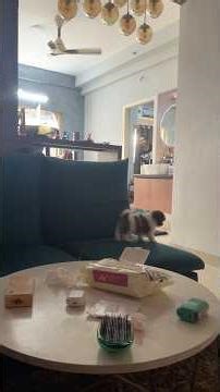 🍍😍കുറച്ച് പഴുത്ത ചക്ക ആയാലോ‼️ #shorts