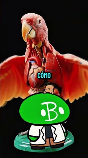 Videos IA Para enseñar Biología? | Biología Desde Cero