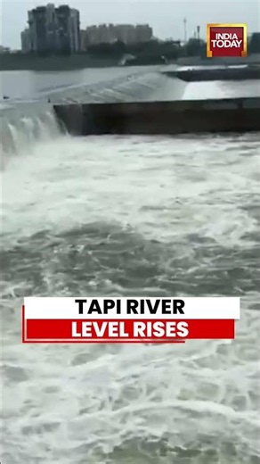 Tapi River Swells As Heavy Rain Batters Surat | IMD Issues Red Alert #shorts