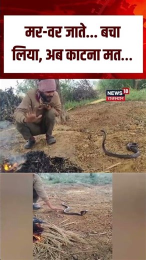 MP Man Snake Viral Video : सांप से बातें करते युवक का वीडियो वायरल! | N18S | Top News | Viral Video