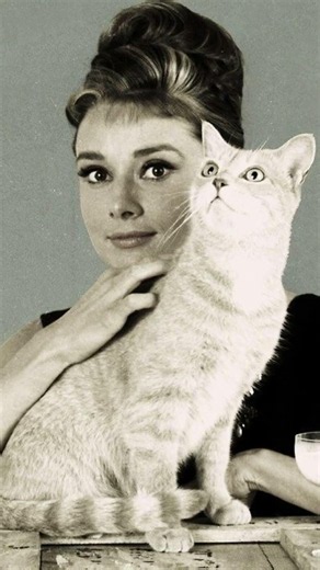 Who Was Audrey Hepburn’s Real Favorite Co-Star? 🐈❤️