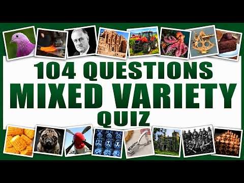 Take It Easy With This Fun 104 Question Quiz