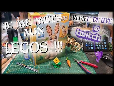 J'arrête la Fig' pour les LEGOS !! - Rediff' de Live Twitch