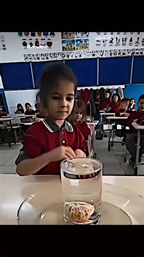 Testing Intelligence with a Water Container Puzzle