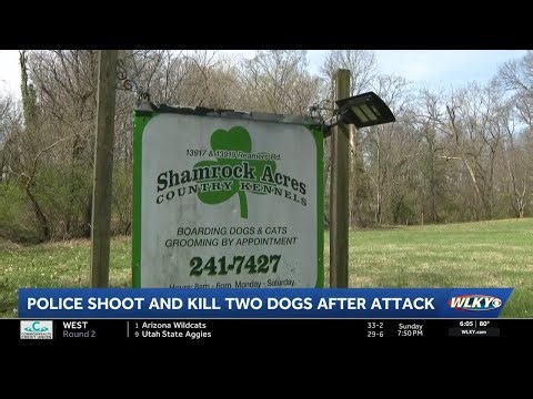 3 hospitalized after dog attack in east Jefferson County; Police fatally shoot 2 dogs