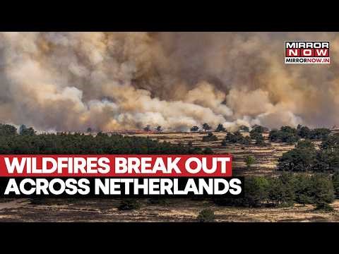 Wildfires Rages Across Netherlands, Authorities Evacuate Kempen Airport, Issues Warning | Watch