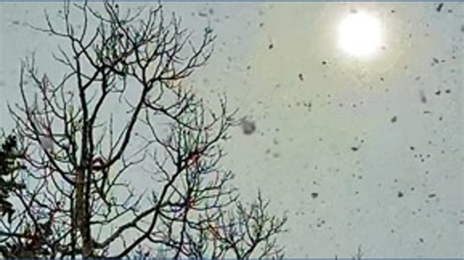 Snow is falling in the mountains