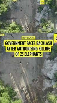 Botswana under fire after authorising elephant killing for independence celebrations