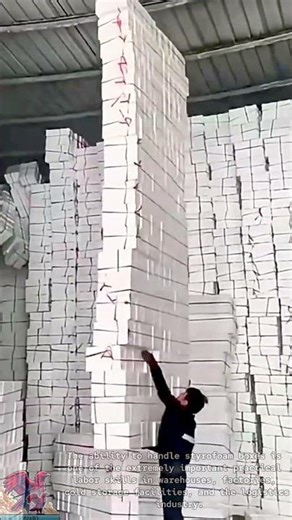 Skillful Styrofoam Box Carrying Technique #creative