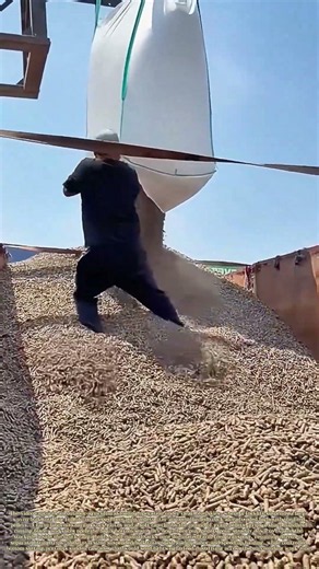 Cutting Bulk Sacks: Farm Worker Slits Big Bag To Unload Beet Pulp Pellets Into Truck Bed