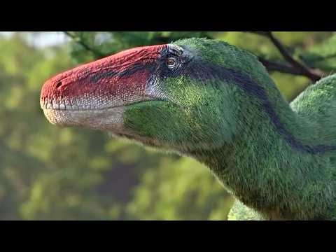 Dinosaur Found In 1924 Went Unstudied Until Recently
