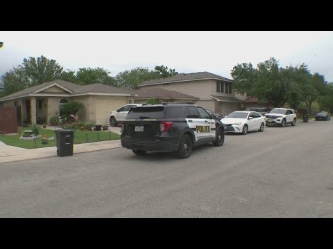 Dog attacks 80-year-old woman in west-side backyard, officials say