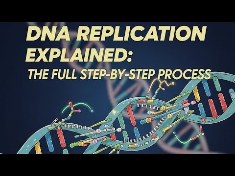 DNA Replication🧬 Explained: The Full Step-by-Step Process