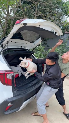 Baby Loses Beloved Dog to a Cruel Kidnapper – Emotional Rescue Story 🐶💔 #dog #lovedog #pets