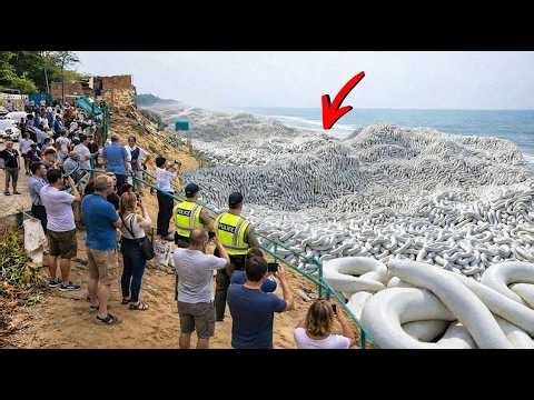 Strange Things Are Happening Worldwide; No One Knows Why!!