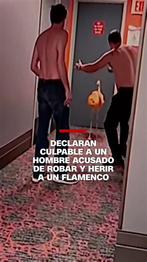 Declaran culpable a un hombre acusado de robar y herir a un flamenco