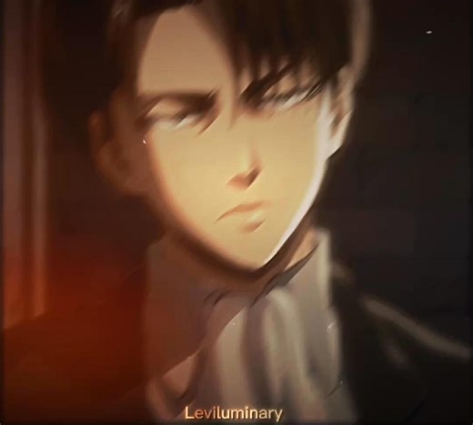 Levi Ackerman: Perfect in Every Way!
