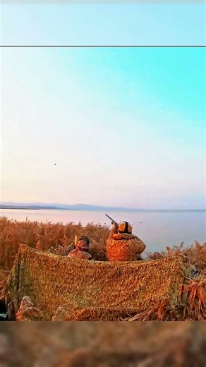 One Shot Geese Challenge 😱🤯|#birdhunting #hunting #huntingbirds #goosehunt #goosehunting #geese #yt