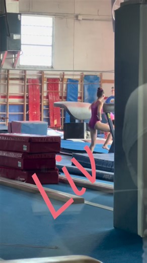Laly Sanz on Instagram: "Gymnastics camp during spring break isn’t a break at all, it’s preparation for the winter competition season ahead. 💪✨ When you have big dreams, the work doesn’t stop. And when you truly love what you do, it doesn’t even feel like work. You look forward to showing up for yourself every single day, putting in the effort, and chasing what sets your heart on fire. That’s how dreams are built."