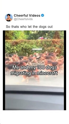 So thats who let the dogs out