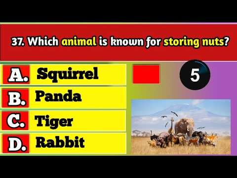 General Knowledge Trivia Quiz | Test Your Brain with Fun Questions & Ultimate Challenge Today!
