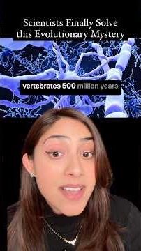 Scientists Solve The Evolutionary Mystery of Myelin