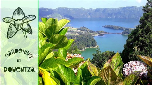 Explore the Azores islands and their natural beauty
